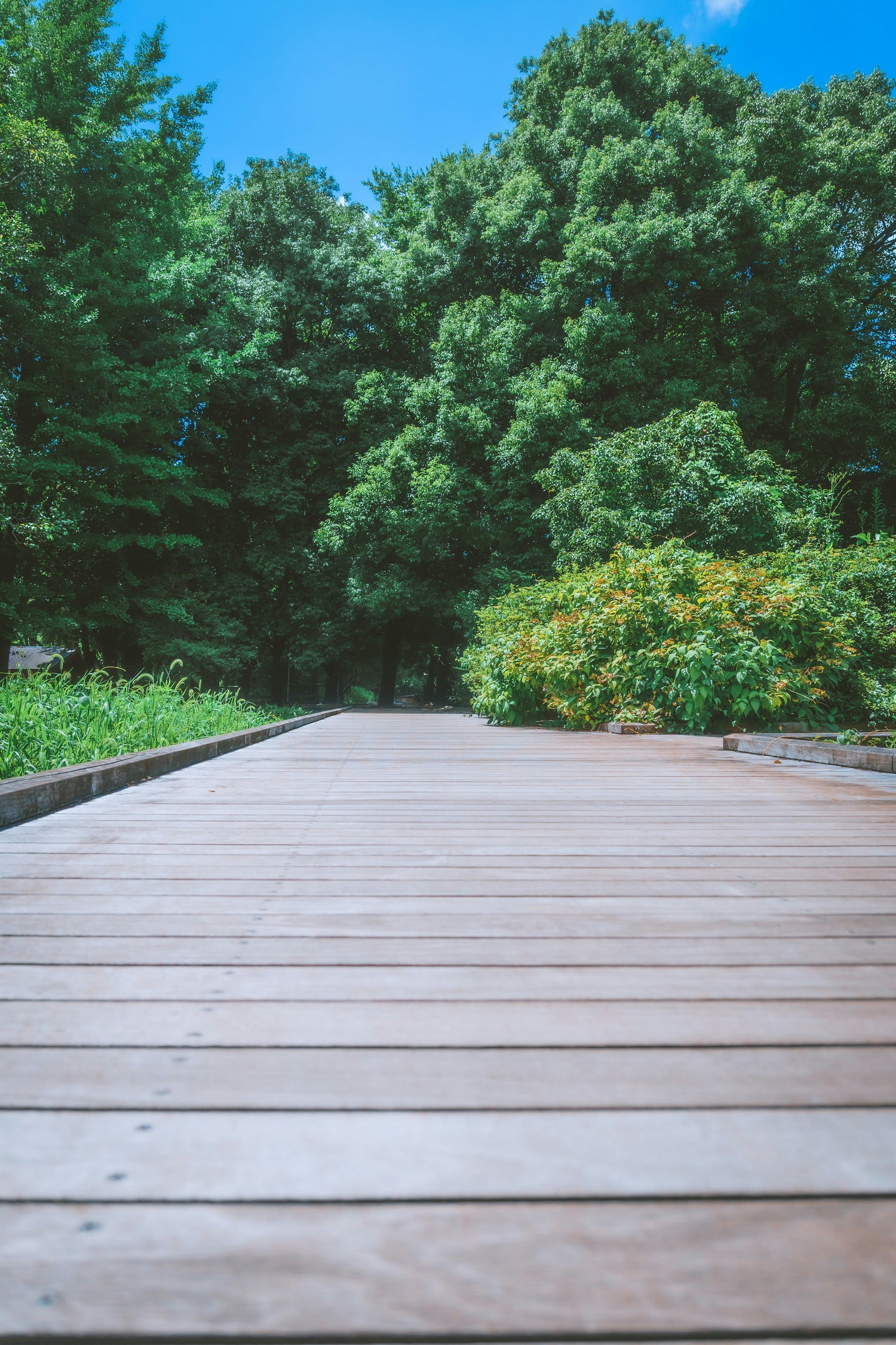 Decking