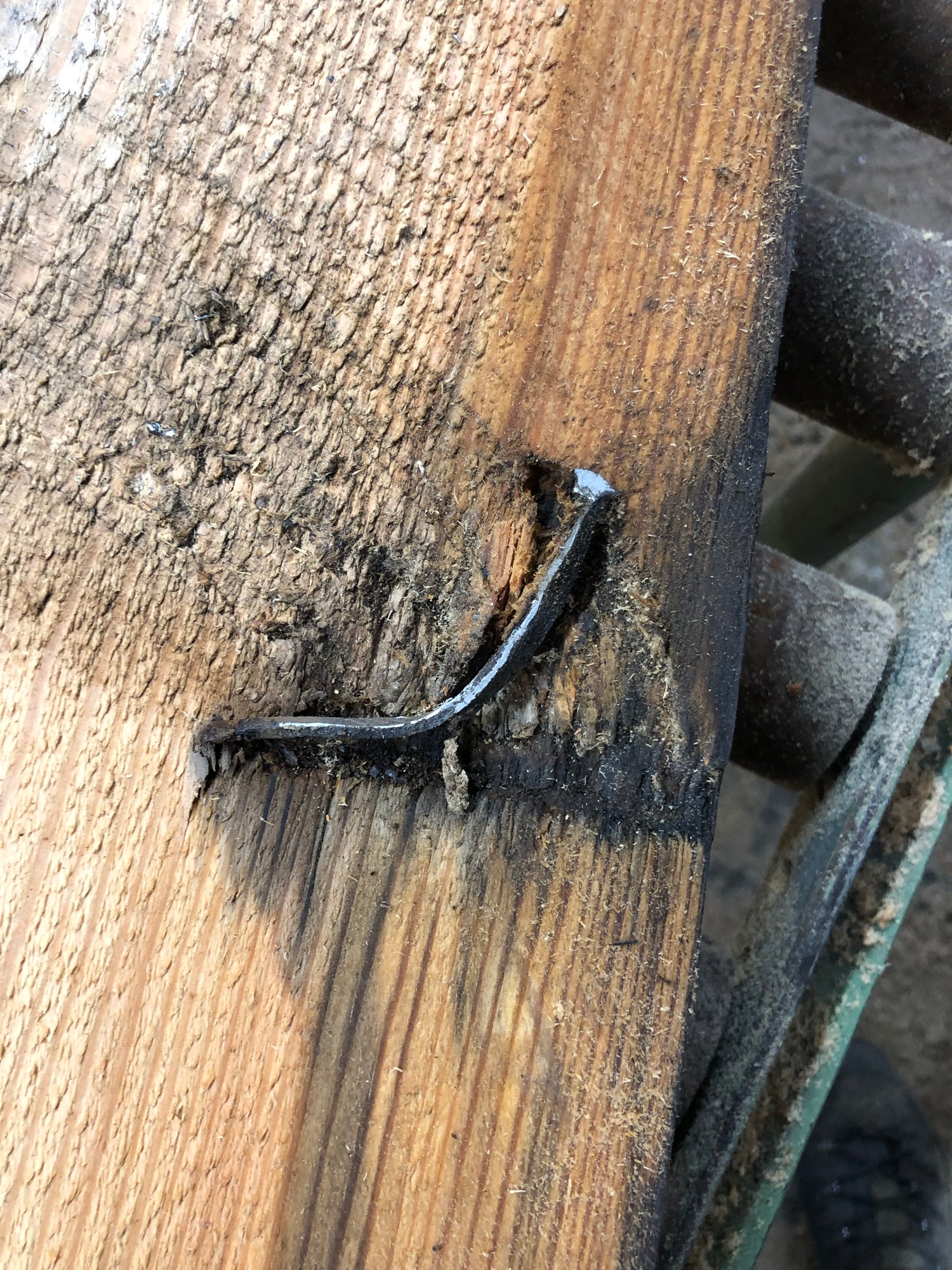 Nail to be removed from pitch pine beam before flooring is made